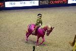 Quadrille - 00517